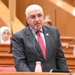 الاصطفاف الوطني ضرورة لحماية الأمن القومي المصري