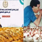 تفاصيل جديدة بشأن قانون التصالح ومجموعة من الأخبار المهمة