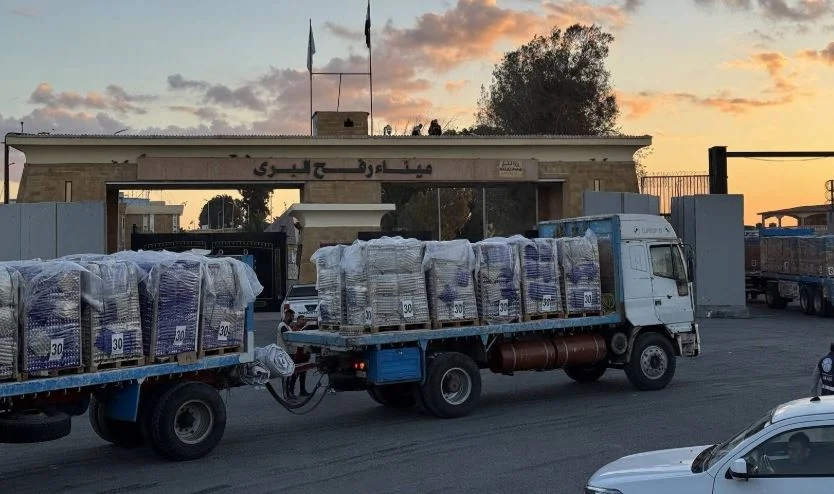 مصر ودورها المحوري في دعم القضية الفلسطينية