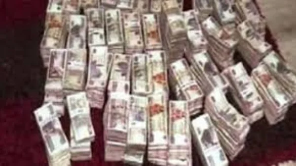 استيلاء 39 مليون جنيه من بنك وشركة بتروكيماويات