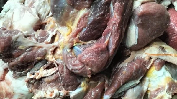 ضبط 226 طن من اللحوم المخالفة في مصر