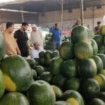 أسباب اضطرابات الجهاز الهضمي نتيجة الإفراط في تناول البطيخ