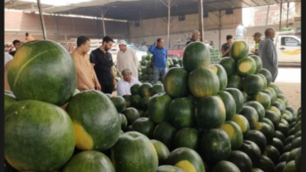 أسباب اضطرابات الجهاز الهضمي نتيجة الإفراط في تناول البطيخ