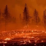 إجلاء 60 ألف شخص بسبب حرائق الغابات في واشنطن