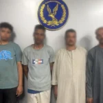 الكشف عن “مقبرة الحمير” في سوهاج وضبط المتهمين