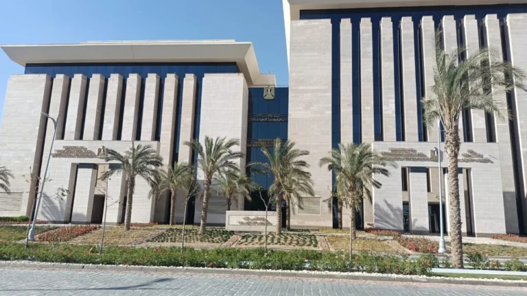أدوات الإتاحة الرقمية تعزز الشمولية في الاتصالات