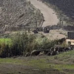 توغل إسرائيلي في قرية معرية بريف درعا السوري