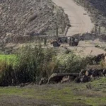 الاحتلال الإسرائيلي يتوغل في قرية معرية بريف درعا