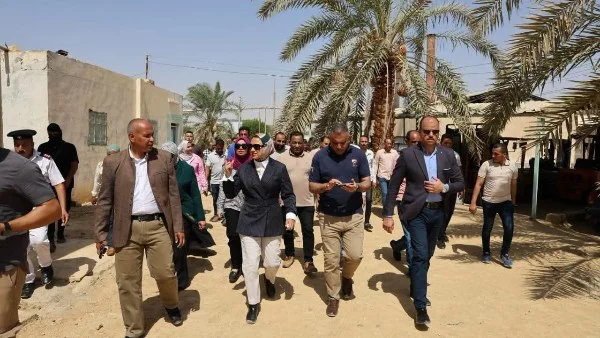 جاهزية مجمع التمور لاستقبال المحصول في الوادي الجديد