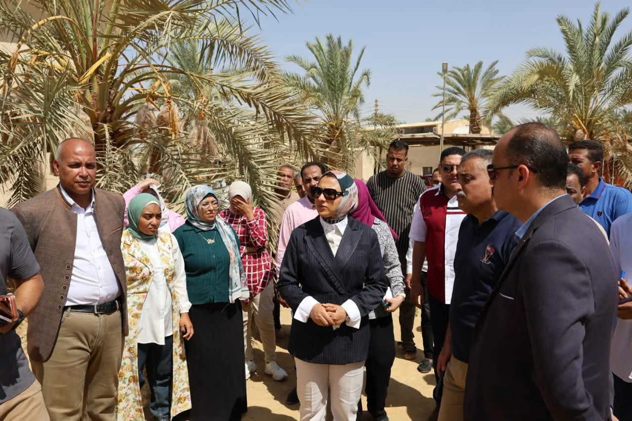 استعدادات مجمع التمور لاستقبال المحصول في الوادي الجديد