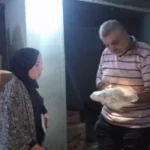 ضبط 2 طن دجاج غير صالح للاستهلاك في الدقهلية