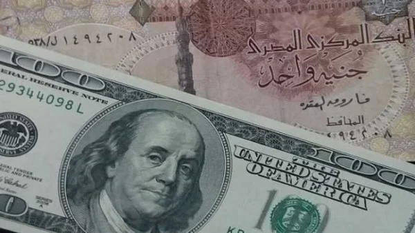 استقرار سعر الدولار أمام الجنيه المصري صباح اليوم