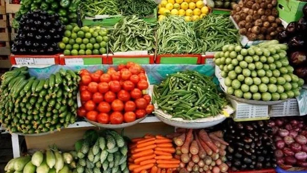 ارتفاع وانخفاض أسعار الخضروات في مصر اليوم