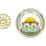 طرح السكر الحر بسعر 25 جنيهاً اعتباراً من الغد