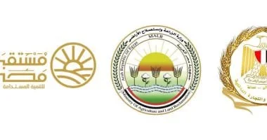 طرح السكر الحر بسعر 25 جنيهاً اعتباراً من الغد