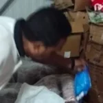 ضبط 1.5 طن من اللحوم والدجاج غير الصالحة بالدقهلية